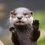OtterBot Discord Bot Logo