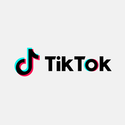 TikTok Downloader Discord Bot Logo