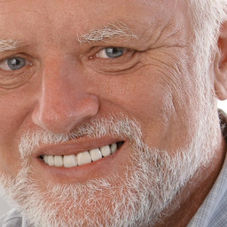 ai-Harald Discord Bot Logo