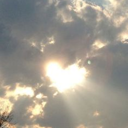 Lawless Discord Bot Logo