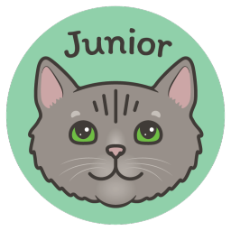 Junior the Cat Discord Bot Logo