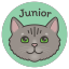 Junior the Cat Discord Bot Logo