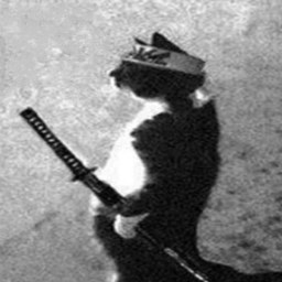 vanity Discord Bot Logo