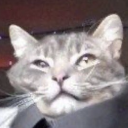 Random Meme Sender Discord Bot Logo