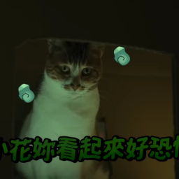 Logo for 猫猫GPT