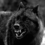 FmFl_Fenrir Discord Bot Logo