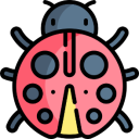 Beetle Discord Bot Logo