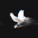 iris Discord Bot Logo