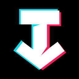 TikTok Video Downloader Discord Bot Logo