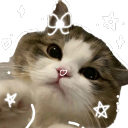 Catsy Discord Bot Logo