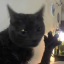 DabloonsReincarnated Discord Bot Logo