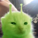 Alien Cat Discord Bot Logo