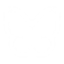 flaunt Discord Bot Logo