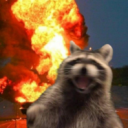 Raccoon Discord Bot Logo