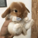 bunnyscrpt Discord Bot Logo