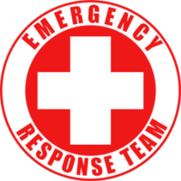 Raid Response Discord Bot Logo