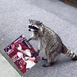 Logo for RaccoonBot