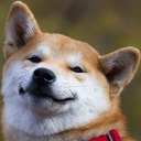 Krox Discord Bot Logo