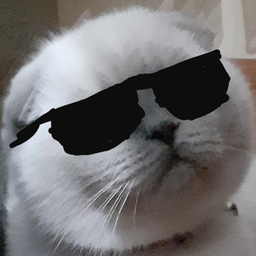 Fire-kedi Discord Bot Logo