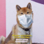 Tofu Chan (◕ᴗ◕✿) Discord Bot Logo