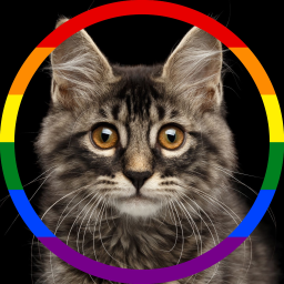 Logo for Catbot