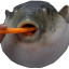 Puffer the Fish Discord Bot Logo