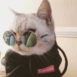 Logo for Meteor™®