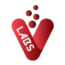 Logo for VALORANT LABS