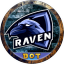 RaveN Discord Bot Logo