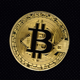 Bitcoin King Discord Bot Logo