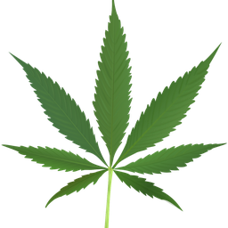 DrugBot Discord Bot Logo