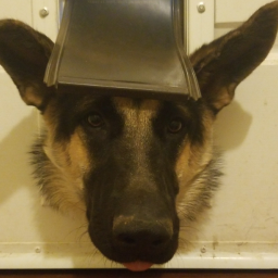 Retriever Discord Bot Logo