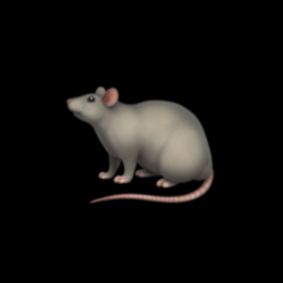 Rat Discord Bot Logo