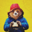 Paddington Discord Bot Logo