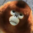 monky Discord Bot Logo