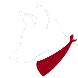Logo for BOOPER