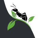 AntCheck Discord Bot Logo