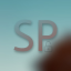 ServerProtector Discord Bot Logo