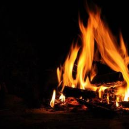 Logo for Bonfire
