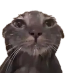 biji bot Discord Bot Logo