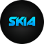 Skia™ Discord Bot Logo