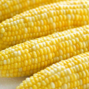 Corn is life Discord Bot Logo