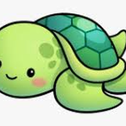 Turtle Bot Discord Bot Logo
