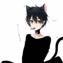 Catty Discord Bot Logo