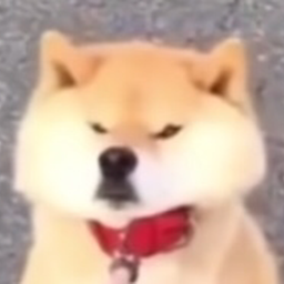 Danky Bot Discord Bot Logo