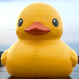 duckie Discord Bot Logo