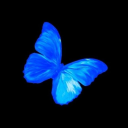 Anxions Discord Bot Logo