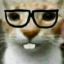Wendify Discord Bot Logo