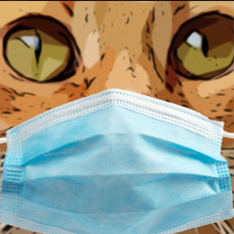 Neko Chan Discord Bot Logo