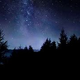 Askers Discord Bot Logo